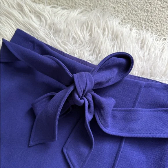 Ann Taylor Belted Purple A-Line Skirt - Picture 5 of 6